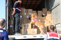 İzmir'de Huzur Operasyonu