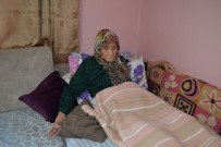 YUNANLıLAR - (Özel) 106 Yaşındaki Şükriye Nine Atatürk'ü Anlattı