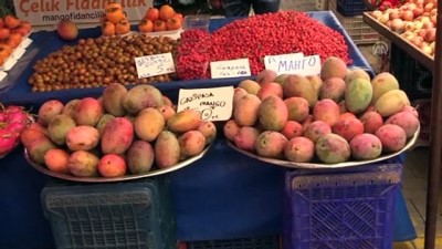 Tanesi 50 Liraya Satılan Mango Üreticinin Yeni Gözdesi
