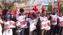 TÜRKIYE GENÇLIK BIRLIĞI - Türkiye Gençlik Birliğinden 'Selam Dur Türkiye' Etkinliği