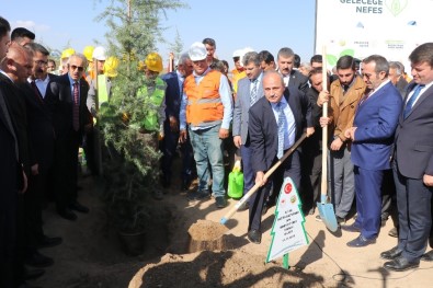 Aksaray'da 'Geleceğe Nefes' Sloganıyla 90 Bin Fidan Toprakla Buluşturuldu