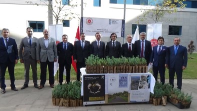 Anadolu Adalet Sarayı'nda 500 Fidan Toprakla Buluştu