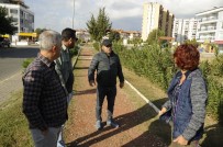 YıLDıZTEPE - Aydın Büyükşehir Belediyesi, Nazilli'de Çalışmalarını Sürdürüyor