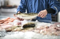AĞIR METAL - 'Balık Her Yaşta Tüketilmeli'