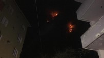 BARTIN VALİSİ - Bartın'daki Orman Yangını Kontrol Altına Alındı