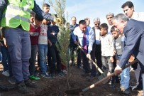 FOLKLOR GÖSTERİSİ - Başkan Beyoğlu, Fidan Dikti