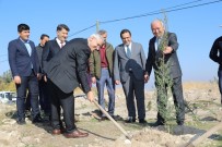 KORUCUK - Battalgazi Belediyesi Bin Fidanı Toprakla Buluşturdu