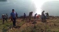 MUSTAFA AYHAN - Burgazada'da Yanan Alanlar 'Geleceğe Nefes Ol' Projesi Kapsamında Ağaçlandırıldı