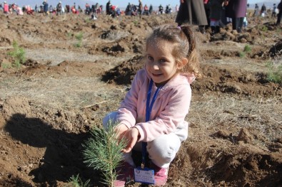 Erzurum'da 12 Bin Fidan Toprakla Buluştu