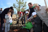 SIVIL TOPLUM KURULUŞU - 'Geleceğe Nefes' İçin Bayburt'ta Fidanlar Dikildi
