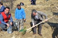 METIN YıLMAZ - Havza'da Bin 111 Fidan Toprakla Buluştu