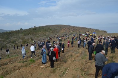 Her Yıl Kıbrıs Kadar Arazi Erozyona Kurban Gidiyor