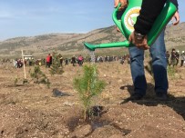 HÜLYA KOÇYİĞİT - Hülya Koçyiğit Eskişehir'deki Fidan Dikme Etkinliğine Katıldı