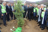 İZMIR VALISI - İzmir'de PKK'nın Yaktığı Alan Ağaçlandırılıyor