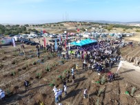 ALıŞKANLıK - Kahramanmaraş'ta 221 Bin Fidan Toprakla Buluştu