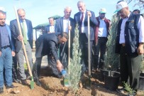 İBRAHİM YUSUF TURANLI - Kahta'da, 2 Bin 500 Fidan Toprakla Buluştu