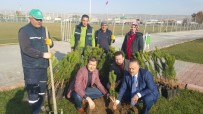 ORMAN BAKANLIĞI - Kayseri Şeker, 'Bu Gün Fidan Yarın Nefes' Kampanyasına 5 Bin Fidan İle Katıldı