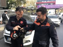 TAKSİ ŞOFÖRÜ - (Özel) Beşiktaş'ta İtfaiye Ekiplerinden Yavru Kedi Kurtarma Operasyonu