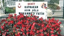 Şehit Kaymakam Safitürk, Mezarı Başında Anıldı Haberi