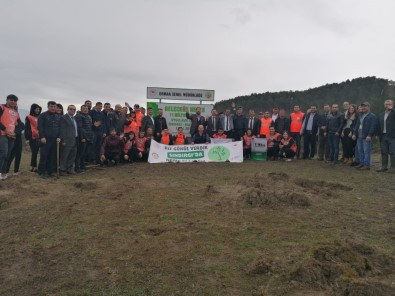 Sındırgı Da 15 Bin Fidan Toprakla Buluştu