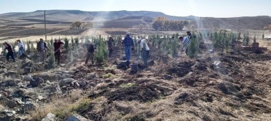 Sorgun'da Bin 800 Fidan Toprakla Buluştu