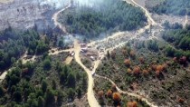 ÇAKıLLı - Tavşanlı'da Orman Yangınında 3 Hektar Alan Zarar Gördü
