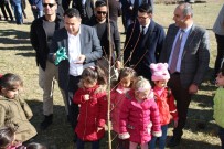 ERTUĞRUL AVCI - Varto'da 2 Bin Fidan Dikildi