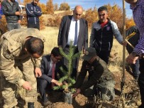 Arapgir'de Fidanlarla Toprakla Buluştu Haberi