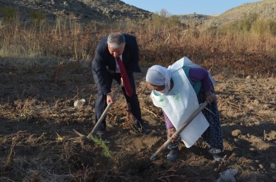 Asırlık Nine 'Geleceğe Nefes Ol' Kampanyasına Fidan Dikerek Destek Verdi