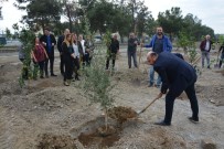 MECLIS BAŞKANı - AYTO'dan Aydın'ın Geleceğine 30 Fidan
