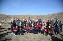 VATANDAŞLıK - Başkan Çetin, Pursaklar'da Ağaç Dikti