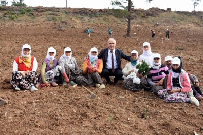 Başkan Davut Aydın, Mevsimlik İşçilerle Fidan Dikti