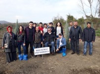 BÜLENT ECEVİT ÜNİVERSİTESİ - BEÜ Öğrencileri Ve Engelliler Fidanlarını Toprakla Buluşturdu