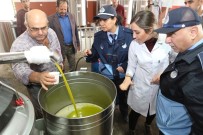 FABRIKA - Hatay'da Zeytinyağı Fabrikalarına Sıkı Denetim