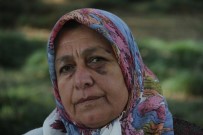 KIZ ÇOCUĞU - Komşu Tarafından Darp Edilen Kadın Gözyaşlarına Boğuldu