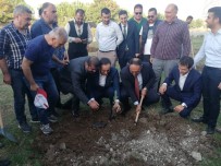 ÜLKÜ OCAKLARı - Mersin'de Ülkü Ocakları Üyeleri Fidan Dikti