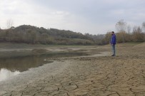 OLTA - (Özel) 2 Ayda Suyu Çekilen Gölet, Çiftçilerin Korkulu Rüyası Oldu