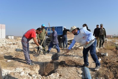 Rektör Akgül, 'Geleceği Nefes' Kampanyası İçin Fidan Dikti