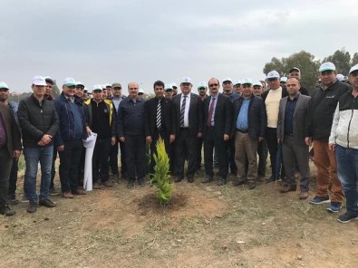 Rektör Aldemir Fidan Dikim Etkinliğine Katıldı