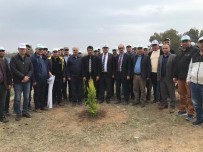 SIVIL TOPLUM KURULUŞU - Rektör Aldemir Fidan Dikim Etkinliğine Katıldı