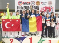 ÜSKÜP - Tavşanlı Karate Kulübü Avrupa'dan Madalyalar İle Döndü