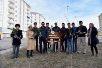 AK GENÇLİK - Ak Parti Yakutiye Gençlik Teşkilatı 300 Fidanı Toprakla Buluşturdu
