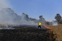 QUEENSLAND - Avustralya'da Orman Yangınları Devam Ediyor