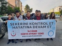 Gümüşova'da 'Dünya Diyabet Günü' Yürüyüşü Düzenlendi Haberi