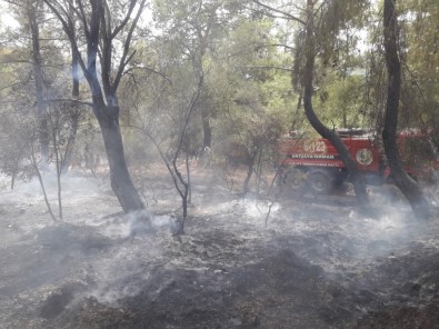 Kumluca'da Orman Yangını