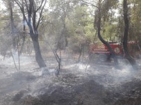 FAIK YILMAZ - Kumluca'da Orman Yangını