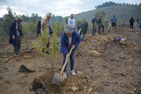 ORMAN YANGıNLARı - Muğla'da Ağaçlandırma Seferberliği