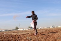 MEVSİMLİK İŞÇİ - Şanlıurfa'da Buğday Ekim Mesaisi Başladı
