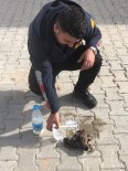 YAVRU KÖPEKLER - Zorda Kalan Sokak Hayvanlarını İtfaiye Ekipleri Kurtardı