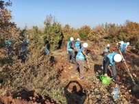 VATANDAŞLıK - Adalet Ormanı'na Hükümlüler Tarafından 300 Fidan Dikildi